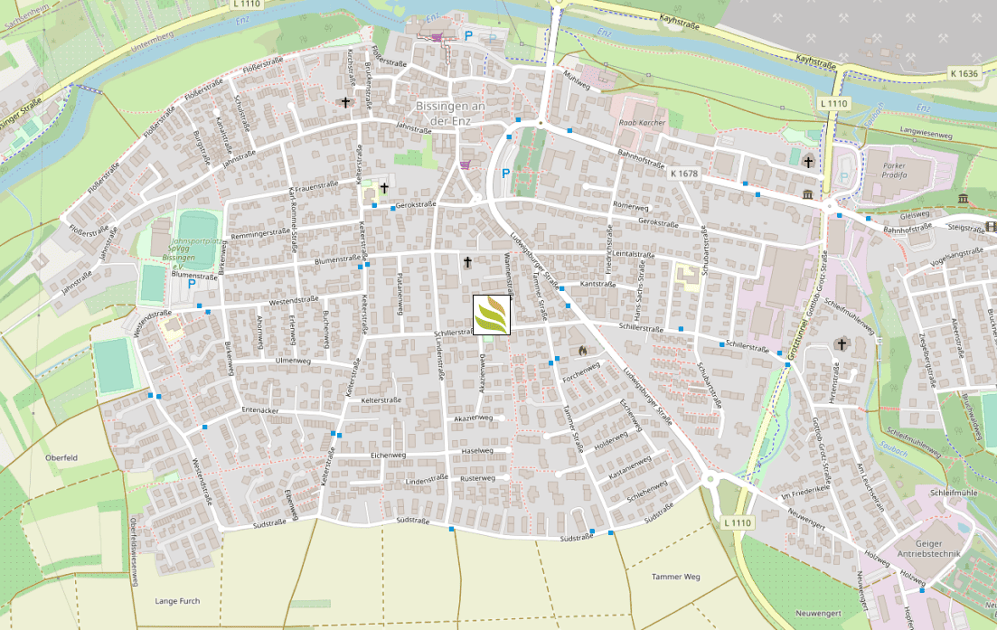 Praxis-Dr.-Maier-Anfahrt